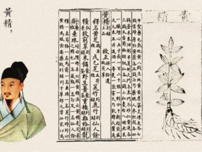 日本腾素真能补肾壮阳?新手必看的功效真相大揭秘优质