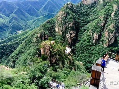 日本腾素片的作用与正确服用方法深度解读优质